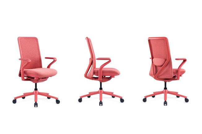 Win Mid Back - Product image