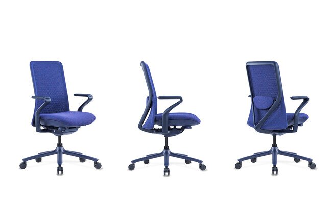 Win Mid Back - Product image