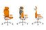 ARCHIMEDES 高背皮椅 - 产品缩图