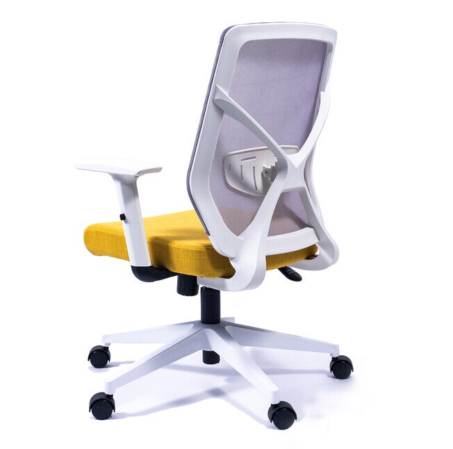 X-Pro Low Back - Product image