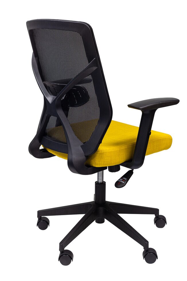 X-Pro Low Back - Product image