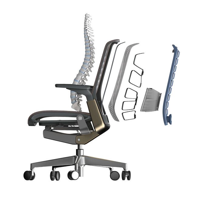 BLUE FIT Mid Back - Product image