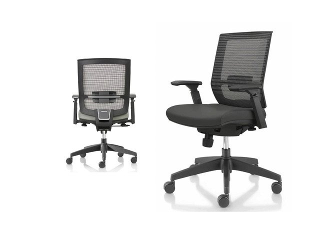 Synergy 中背 - 产品图片