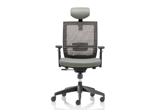 Synergy High Back - Product image