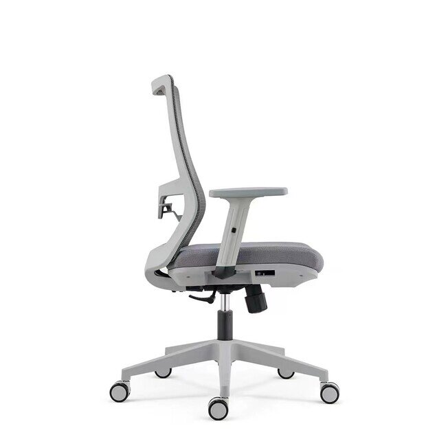 M-Pro Low Back - Product image