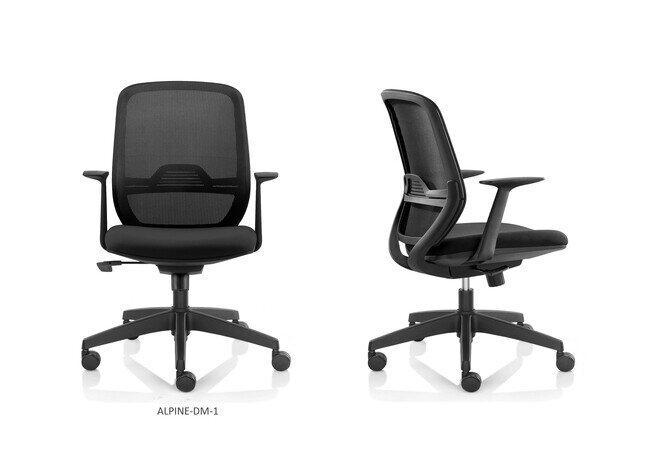 Alpine Mid Back  - Product image