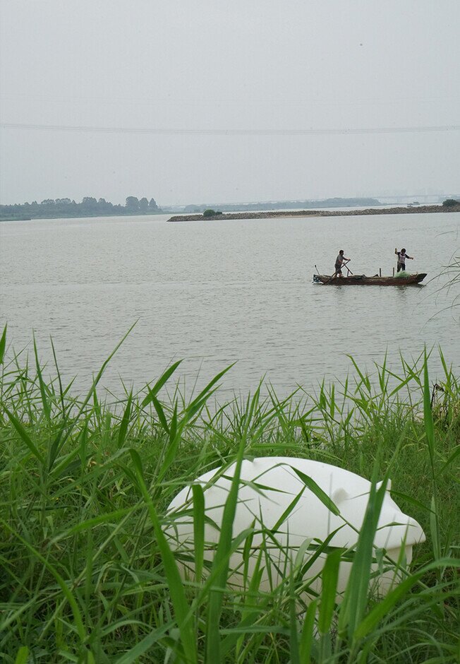 Pig Lamp - Product image