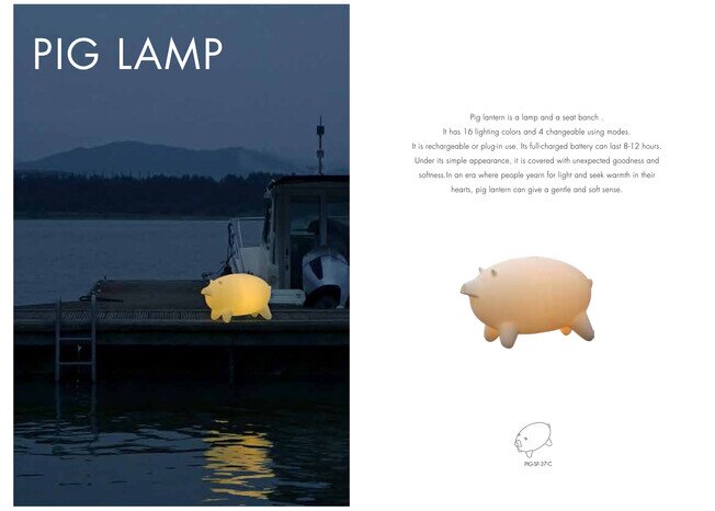 Pig Lamp - Product image