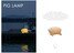 Pig Lamp - Product thumbnail