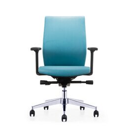 E1 Mid Back Chair