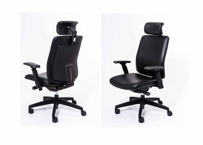 WARRIOR High Back  - Product image